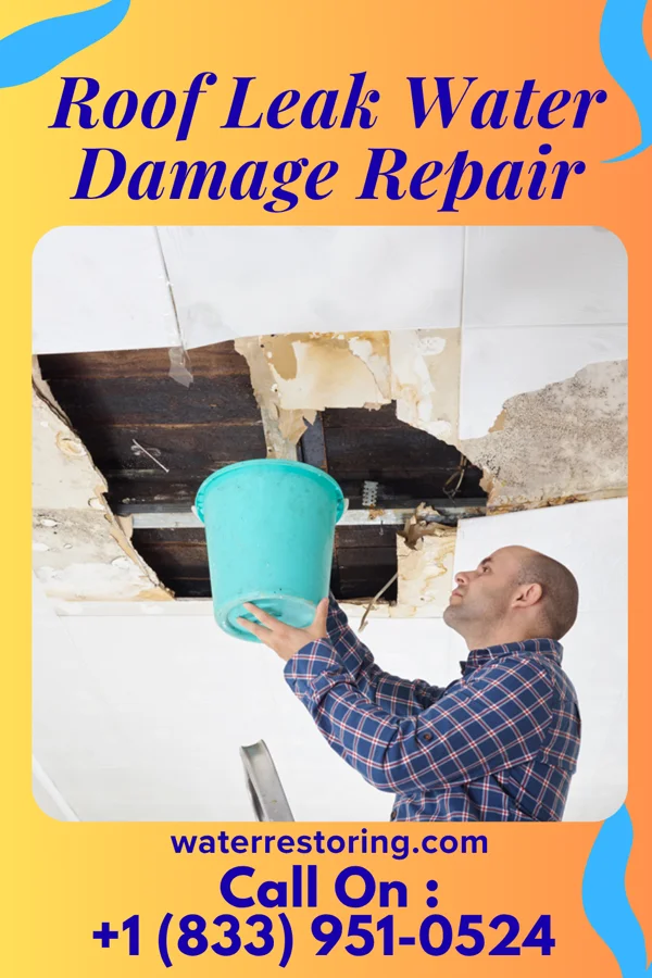 Roof Leak Water Damage Repair in Barton, NM